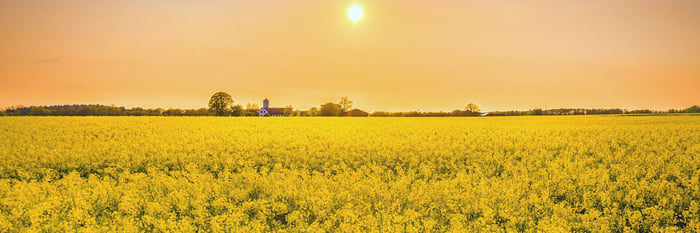 Implemented Pimcore`s PIM, DAM and CMS solutions for Better User Experience and Higher Growth