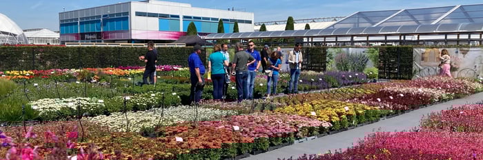 Florensis' use of Pimcore