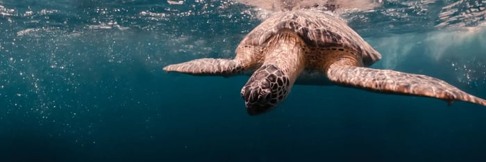 A Website for Special Requirements: Be Safe. We Care.