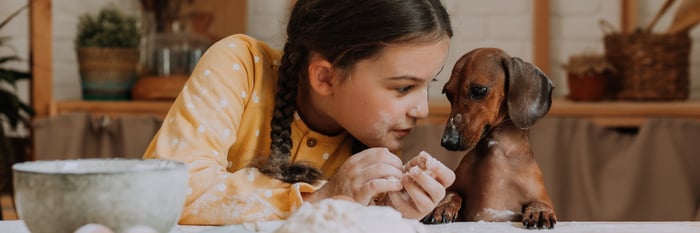 Pimcore implementation for efficient product data management and improved time to market