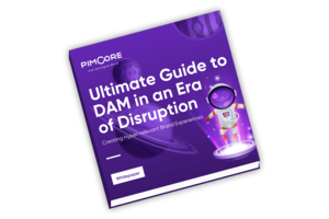 The Ultimate Guide to DAM