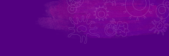 New website enhances management of extensive product catalog